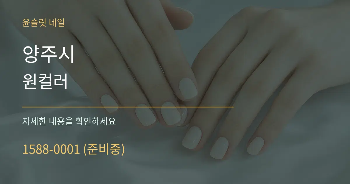 양주시 원컬러 서비스 이용 안내 그래픽