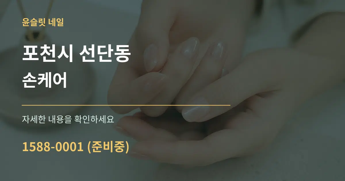 포천시 선단동 손케어 서비스 이용 안내 그래픽