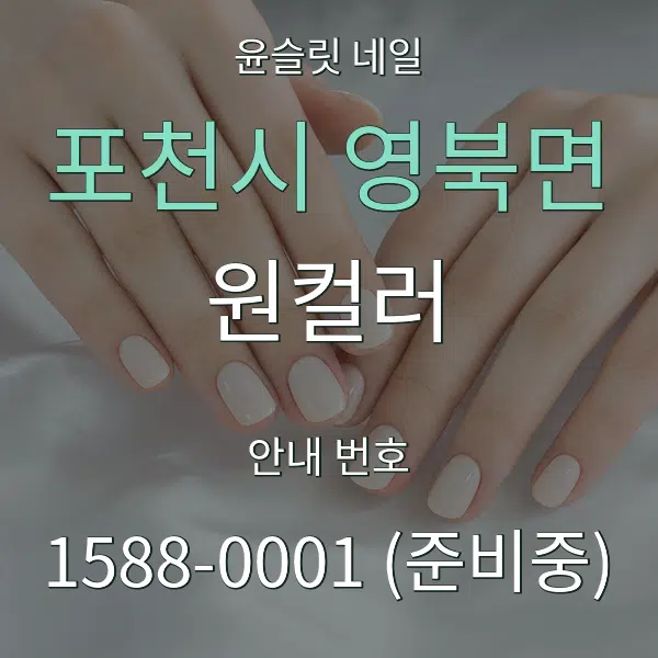 포천시 영북면 원컬러 대표 안내 그래픽