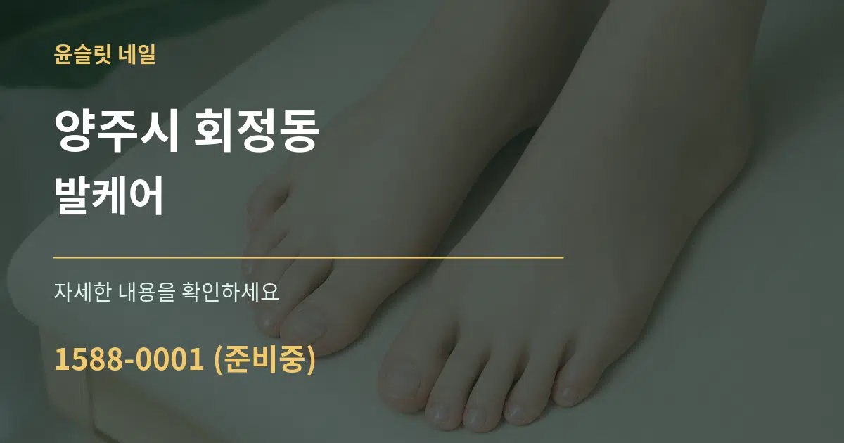 양주시 회정동 발케어 서비스 이용 안내 그래픽
