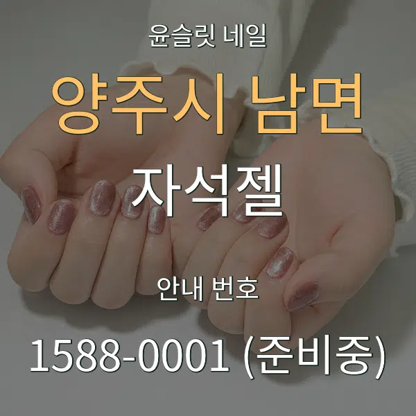 양주시 남면 자석젤 대표 안내 그래픽