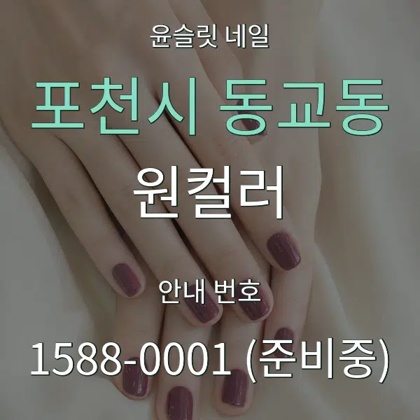 포천시 동교동 원컬러 대표 안내 그래픽
