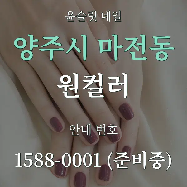 양주시 마전동 원컬러 대표 안내 그래픽