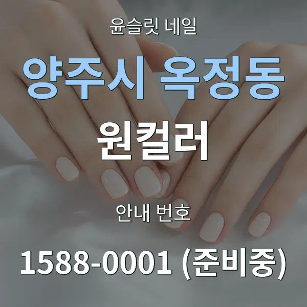 양주시 옥정동 원컬러 대표 안내 그래픽