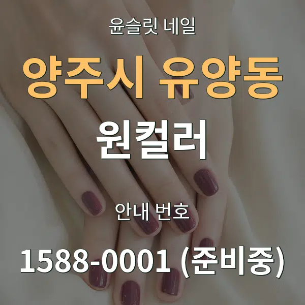 양주시 유양동 원컬러 대표 안내 그래픽