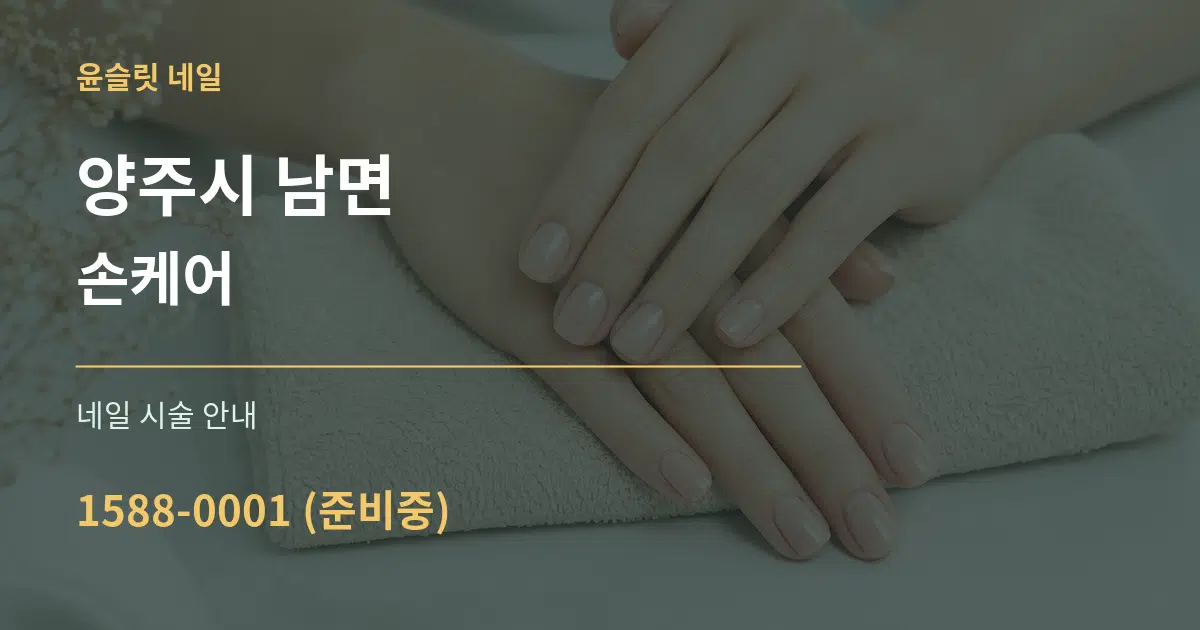 양주시 남면 손케어 대표 안내 그래픽