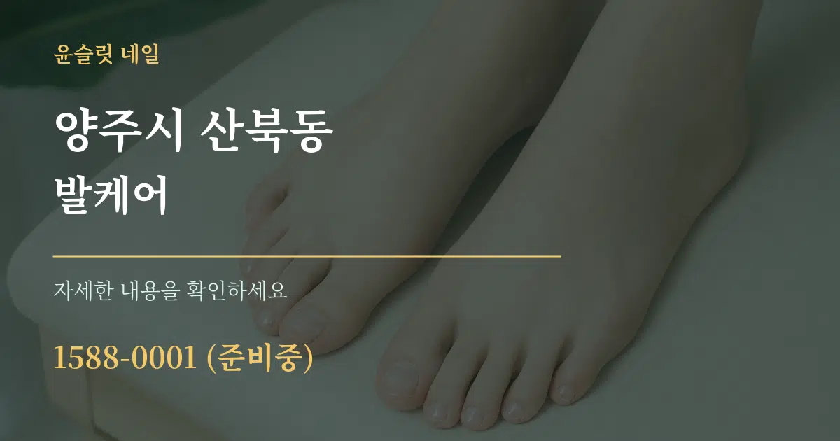 양주시 산북동 발케어 서비스 이용 안내 그래픽