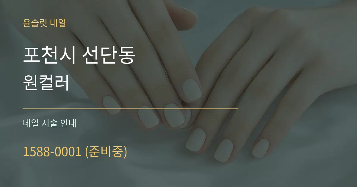 포천시 선단동 원컬러 대표 안내 그래픽