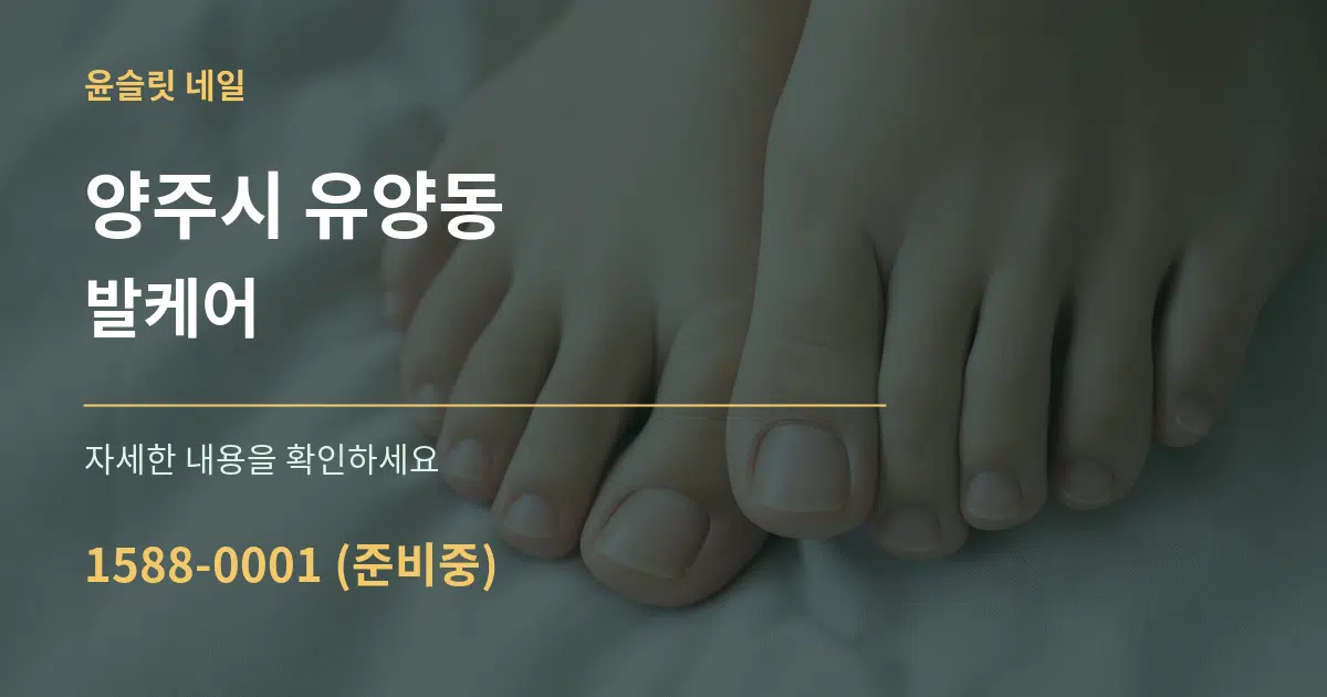 양주시 유양동 발케어 서비스 이용 안내 그래픽