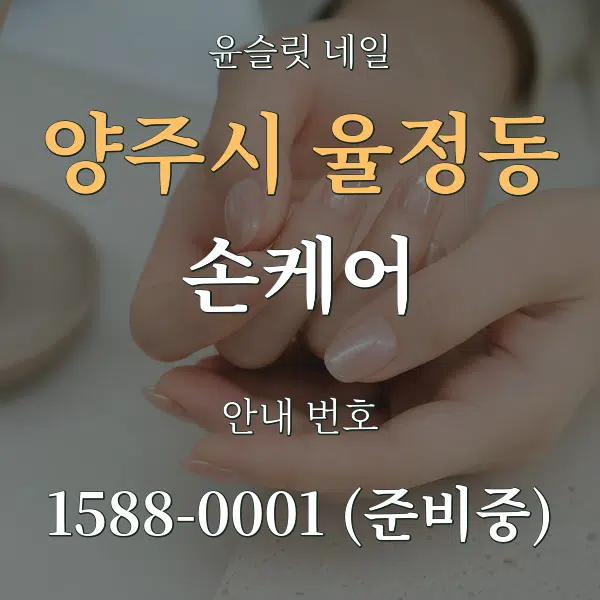 양주시 율정동 손케어 대표 안내 그래픽