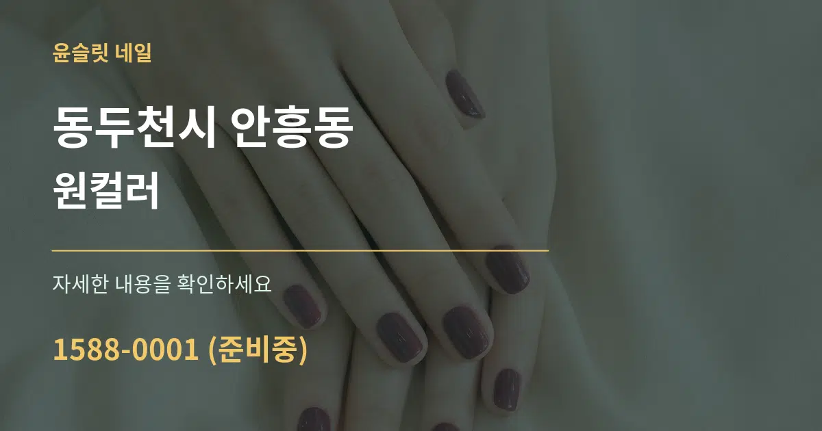 동두천시 안흥동 원컬러 서비스 이용 안내 그래픽