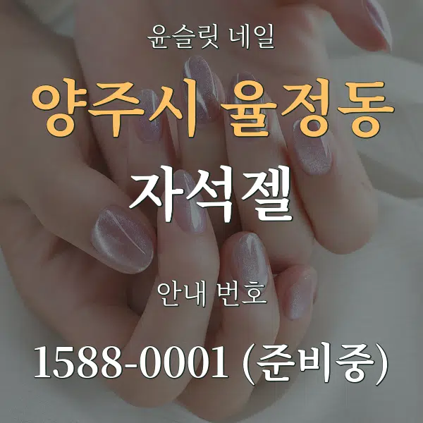 양주시 율정동 자석젤 대표 안내 그래픽