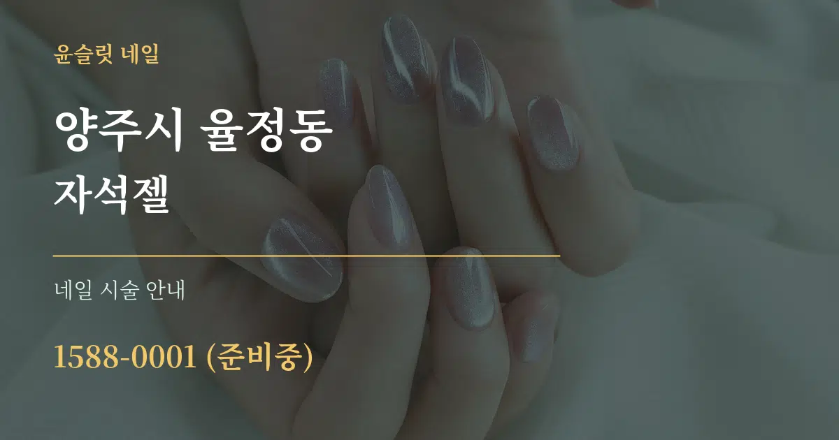 양주시 율정동 자석젤 대표 안내 그래픽