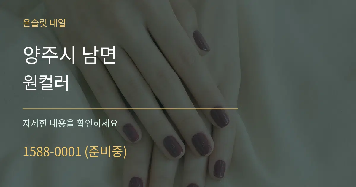 양주시 남면 원컬러 서비스 이용 안내 그래픽