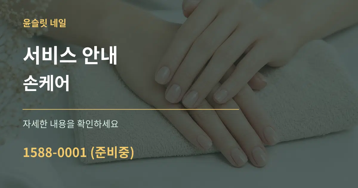 서비스 안내 손케어 서비스 이용 안내 그래픽