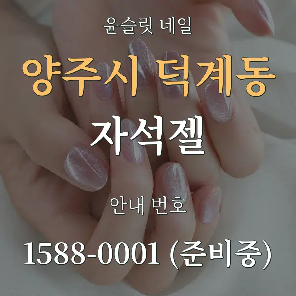 양주시 덕계동 자석젤 대표 안내 그래픽