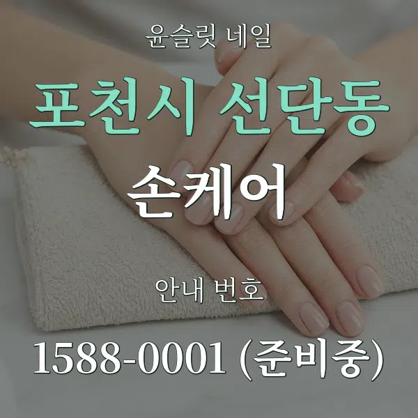 포천시 선단동 손케어 대표 안내 그래픽