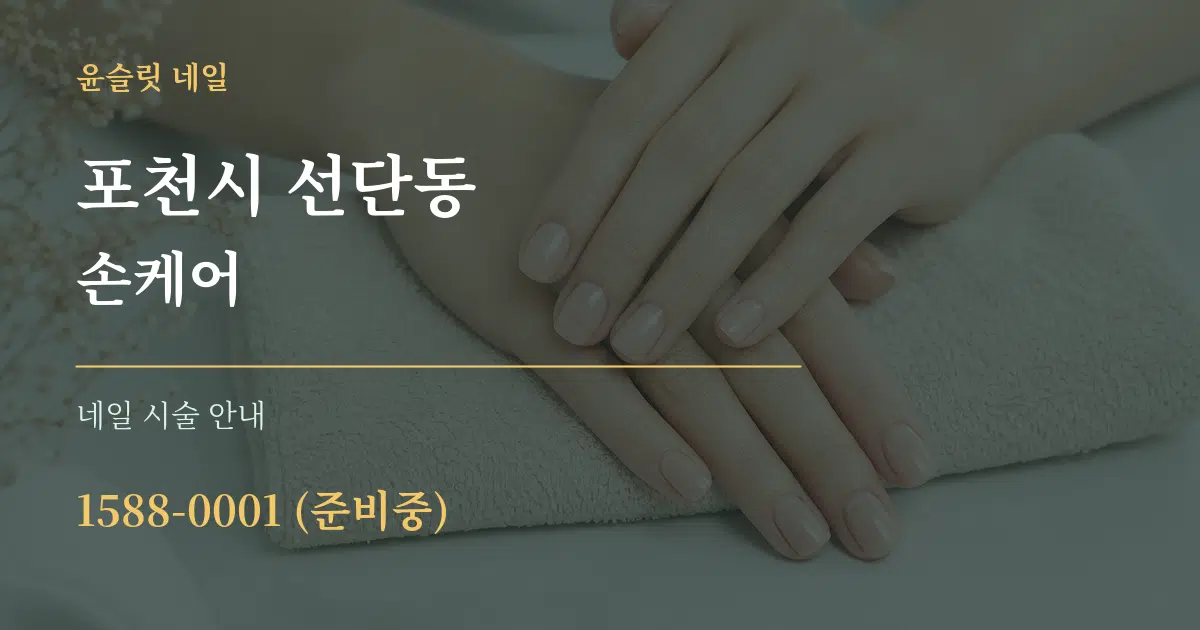 포천시 선단동 손케어 대표 안내 그래픽