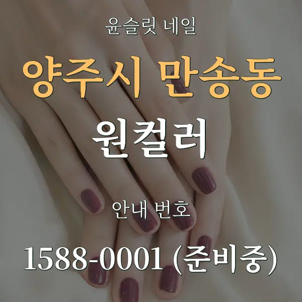 양주시 만송동 원컬러 대표 안내 그래픽