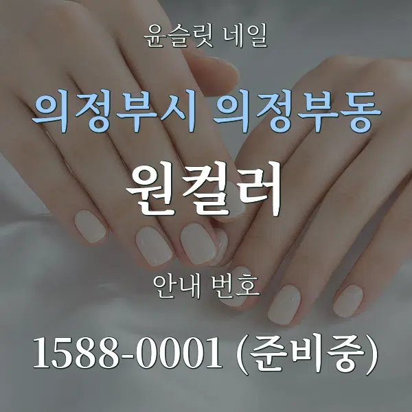 의정부시 의정부동 원컬러 대표 안내 그래픽