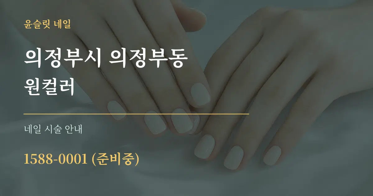 의정부시 의정부동 원컬러 대표 안내 그래픽
