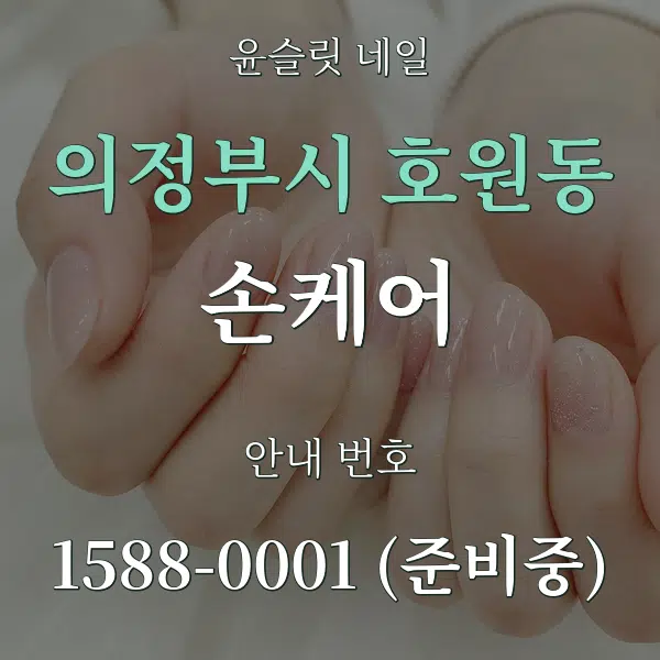 의정부시 호원동 손케어 대표 안내 그래픽