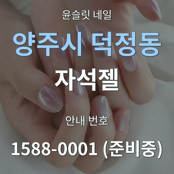 양주시 덕정동 자석젤 대표 안내 그래픽