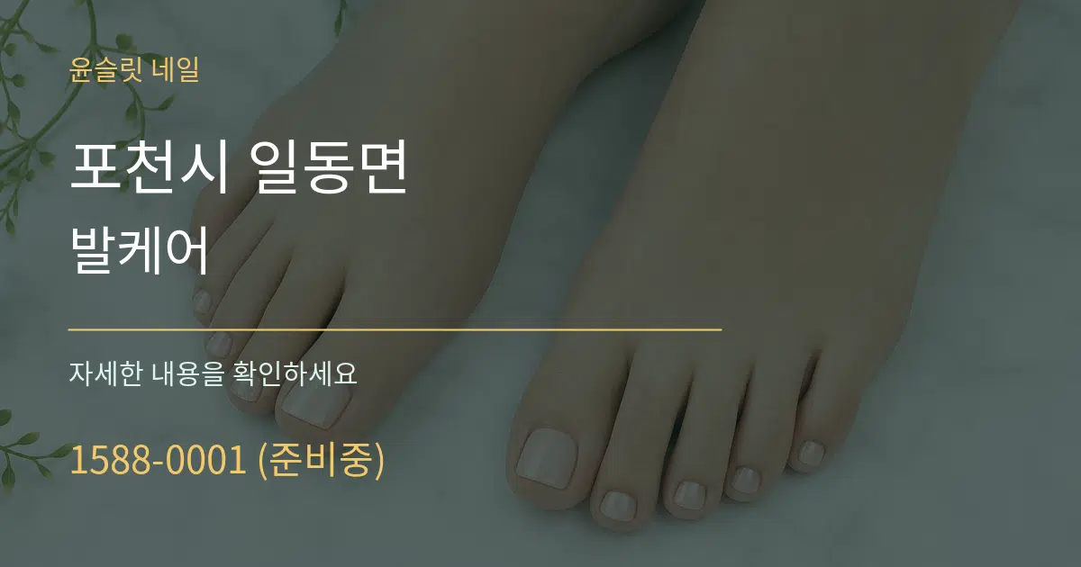 포천시 일동면 발케어 서비스 이용 안내 그래픽