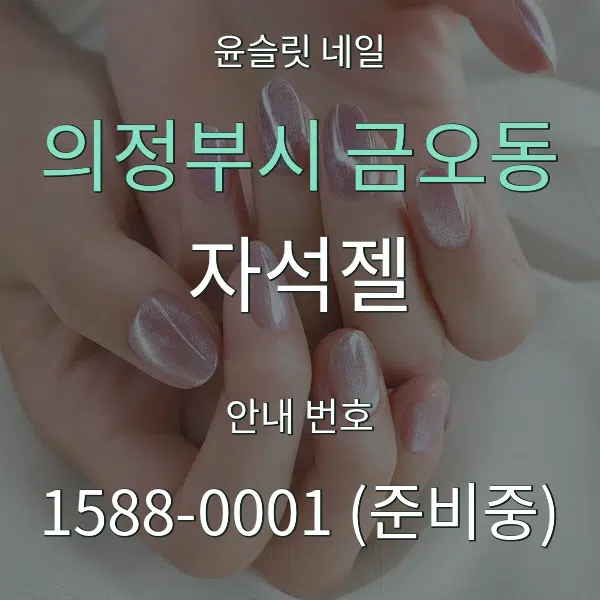 의정부시 금오동 자석젤 대표 안내 그래픽