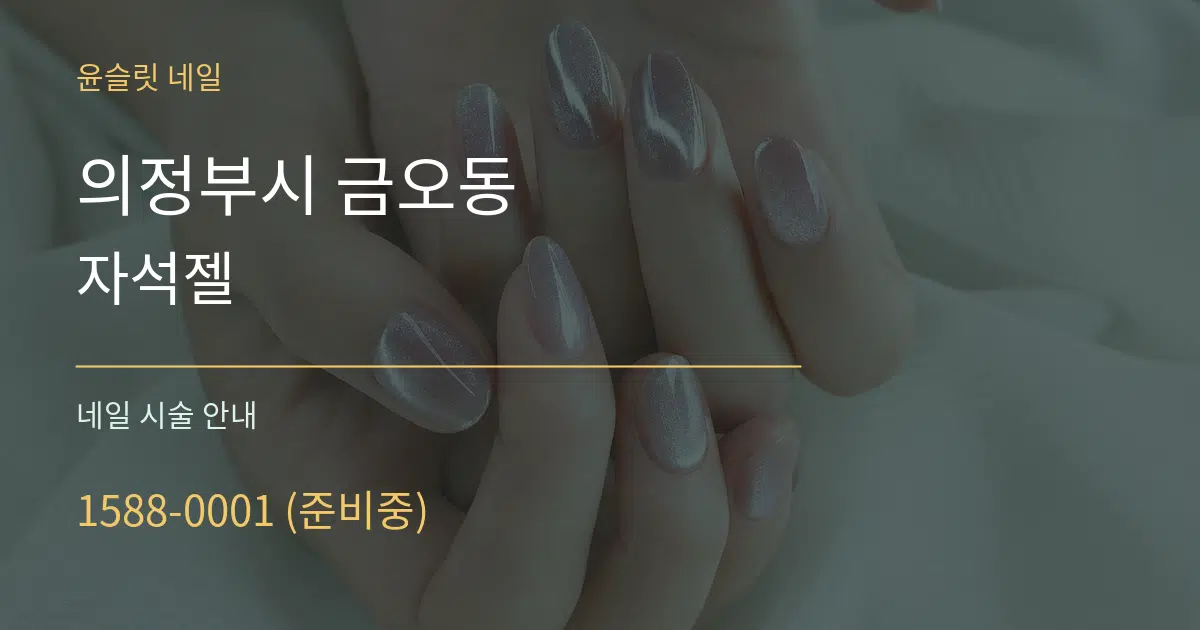 의정부시 금오동 자석젤 대표 안내 그래픽