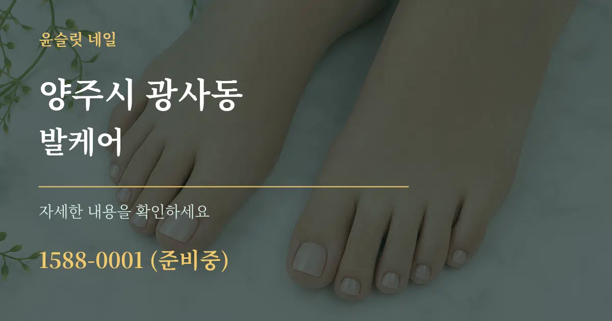 양주시 광사동 발케어 서비스 이용 안내 그래픽