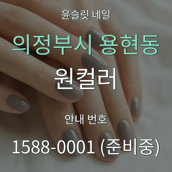 의정부시 용현동 원컬러 대표 안내 그래픽
