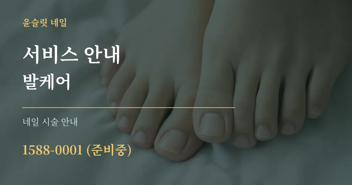 서비스 안내 발케어 대표 안내 그래픽