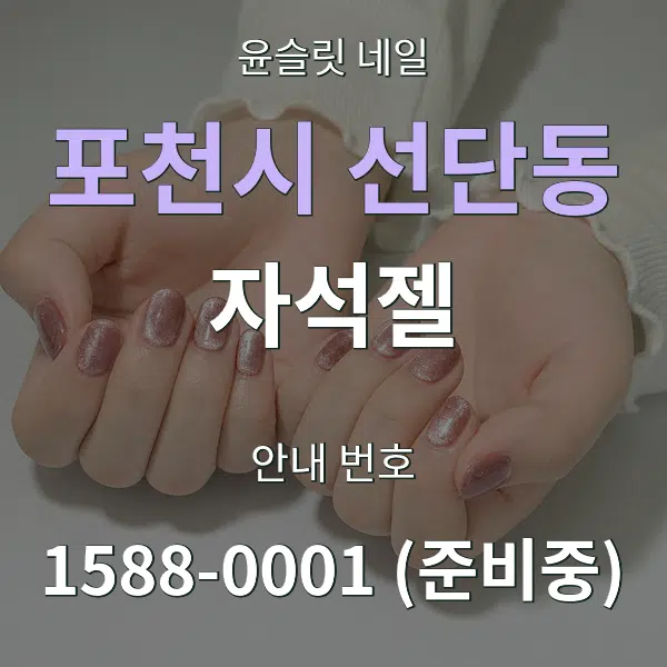 포천시 선단동 자석젤 대표 안내 그래픽