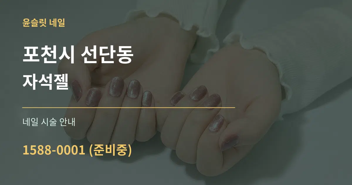 포천시 선단동 자석젤 대표 안내 그래픽