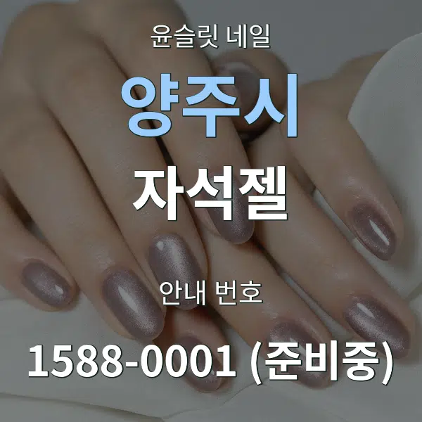양주시 자석젤 대표 안내 그래픽