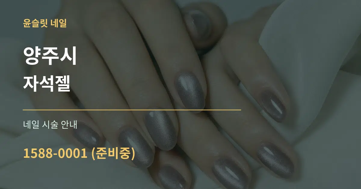 양주시 자석젤 대표 안내 그래픽