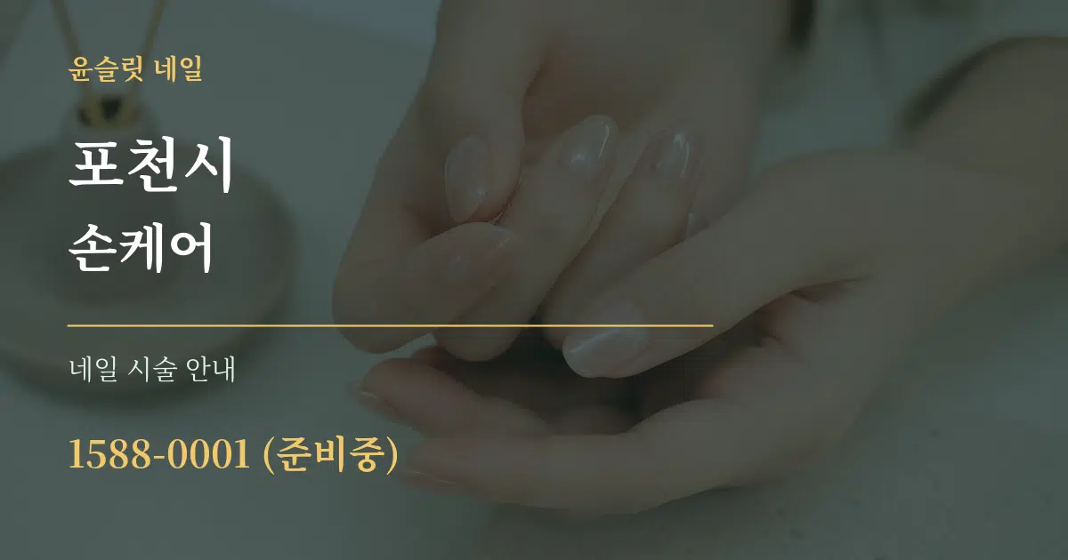 포천시 손케어 대표 안내 그래픽
