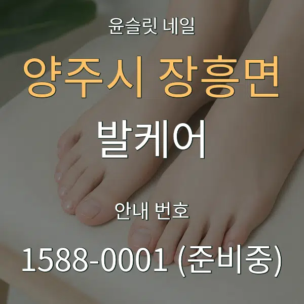 양주시 장흥면 발케어 대표 안내 그래픽