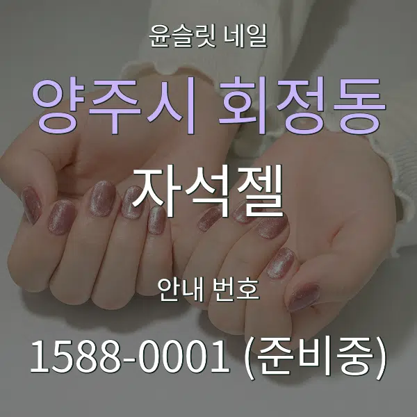 양주시 회정동 자석젤 대표 안내 그래픽