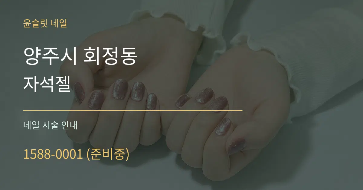 양주시 회정동 자석젤 대표 안내 그래픽