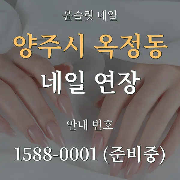 양주시 옥정동 네일 연장 대표 안내 그래픽