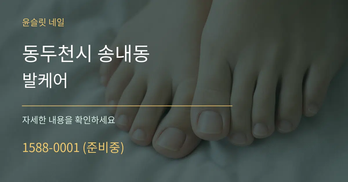 동두천시 송내동 발케어 서비스 이용 안내 그래픽