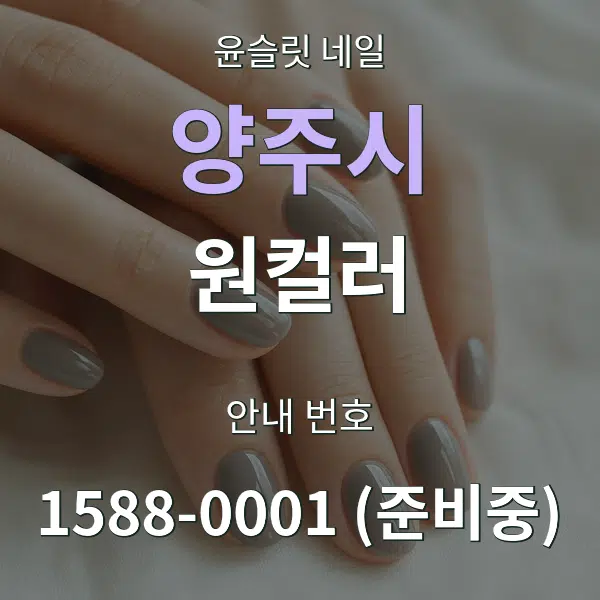 양주시 원컬러 대표 안내 그래픽