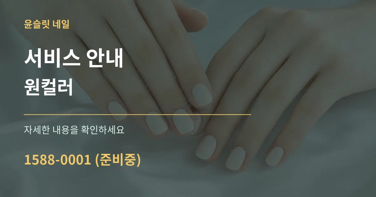 서비스 안내 원컬러 서비스 이용 안내 그래픽