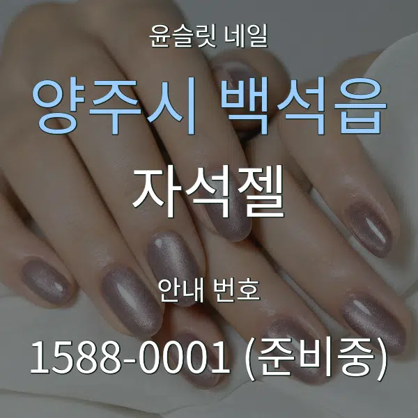 양주시 백석읍 자석젤 대표 안내 그래픽