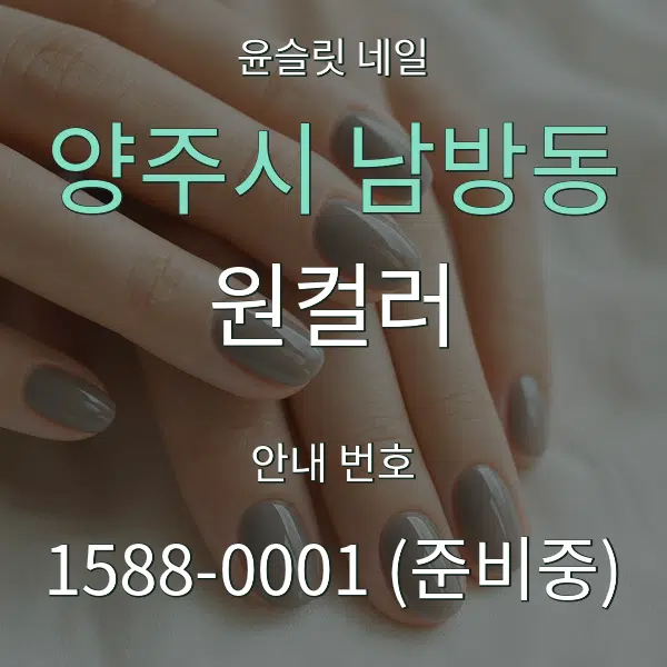 양주시 남방동 원컬러 대표 안내 그래픽