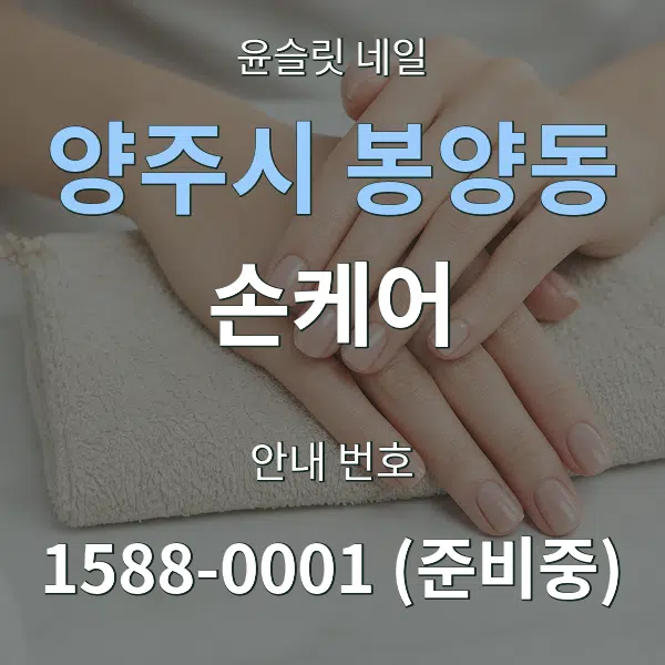 양주시 봉양동 손케어 대표 안내 그래픽
