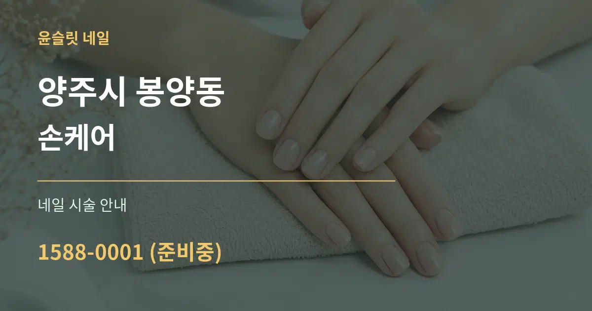 양주시 봉양동 손케어 대표 안내 그래픽
