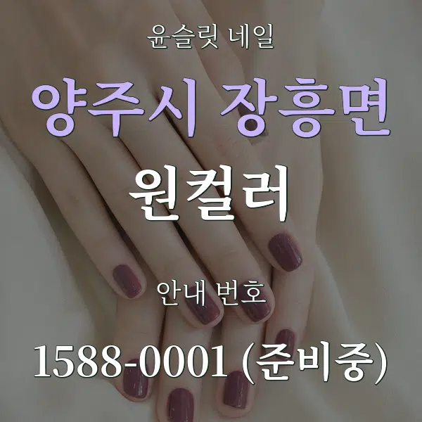 양주시 장흥면 원컬러 대표 안내 그래픽